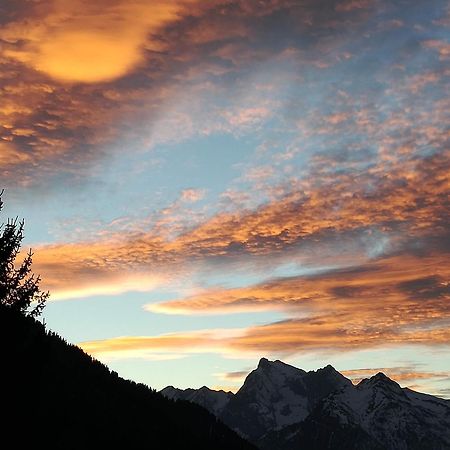 Hotel Ca' Del Bosco Selva di Cadore Εξωτερικό φωτογραφία