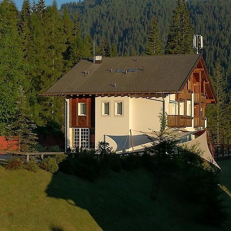 Hotel Ca' Del Bosco Selva di Cadore Εξωτερικό φωτογραφία