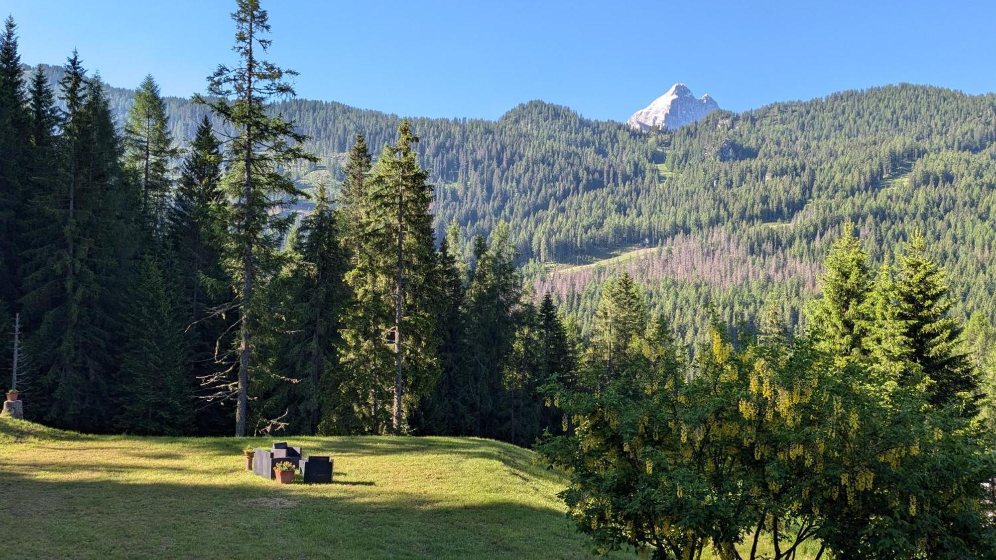 Hotel Ca' Del Bosco Selva di Cadore Εξωτερικό φωτογραφία
