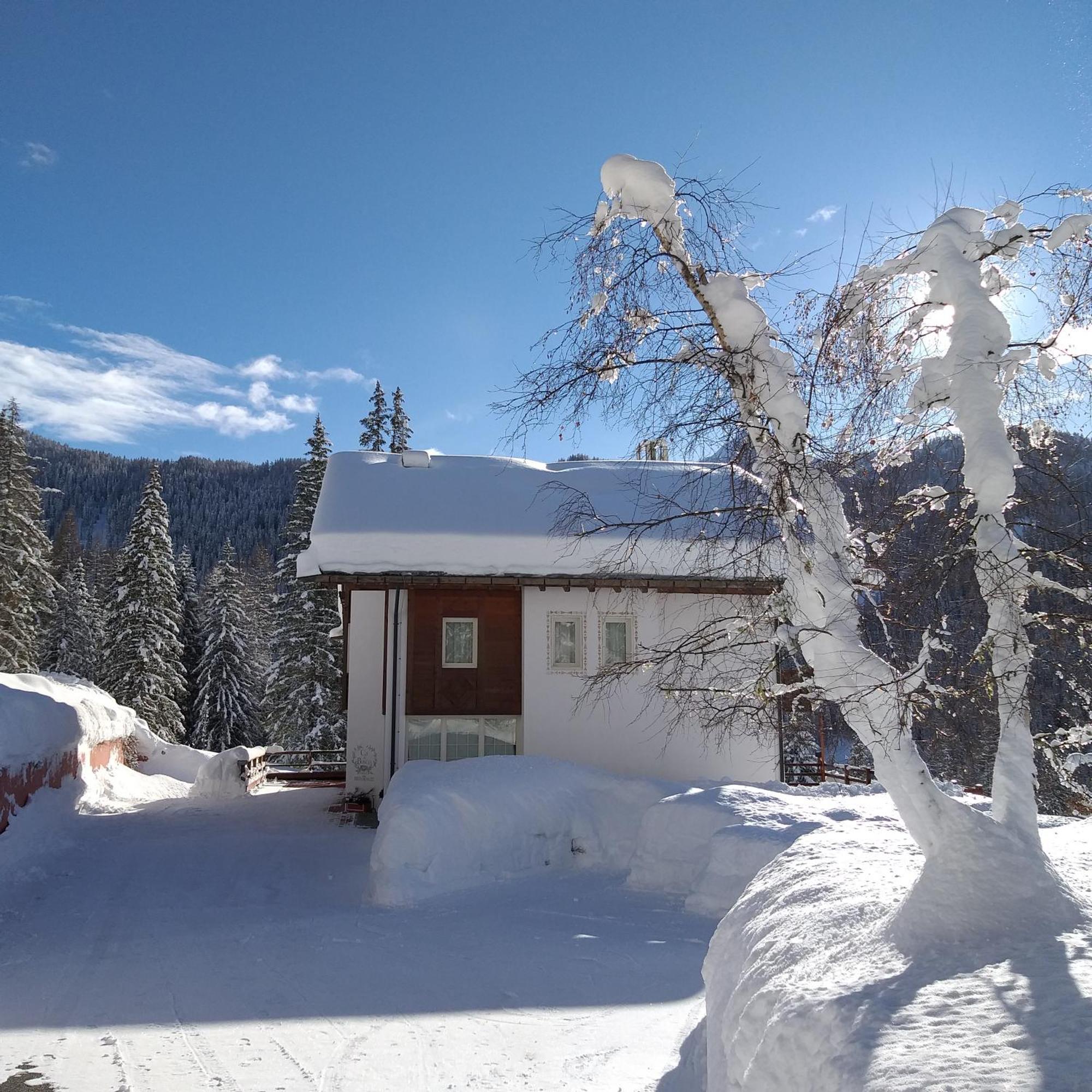 Hotel Ca' Del Bosco Selva di Cadore Εξωτερικό φωτογραφία
