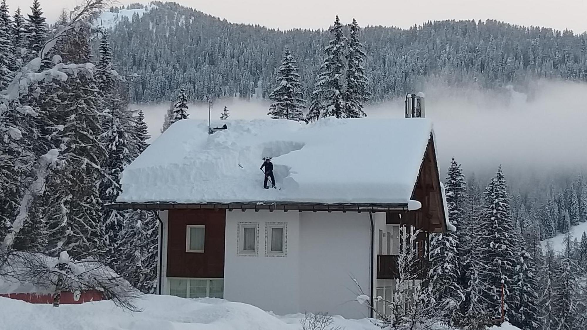 Hotel Ca' Del Bosco Selva di Cadore Εξωτερικό φωτογραφία