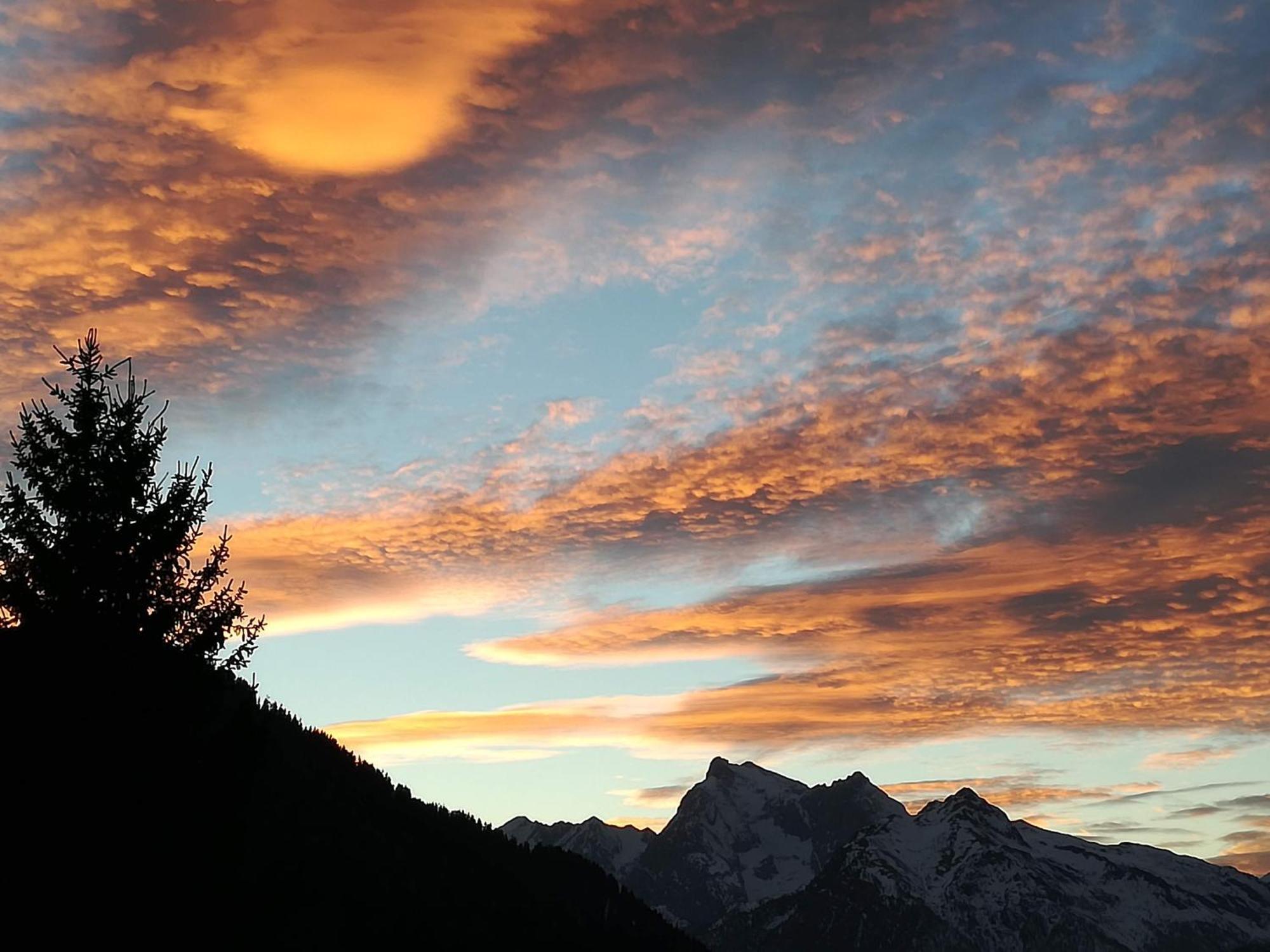 Hotel Ca' Del Bosco Selva di Cadore Εξωτερικό φωτογραφία