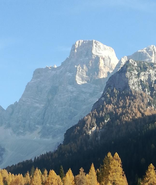 Hotel Ca' Del Bosco Selva di Cadore Εξωτερικό φωτογραφία
