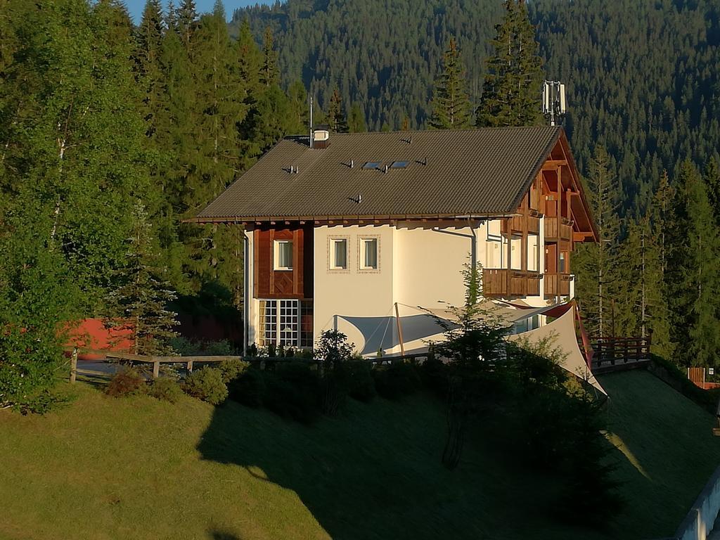Hotel Ca' Del Bosco Selva di Cadore Εξωτερικό φωτογραφία