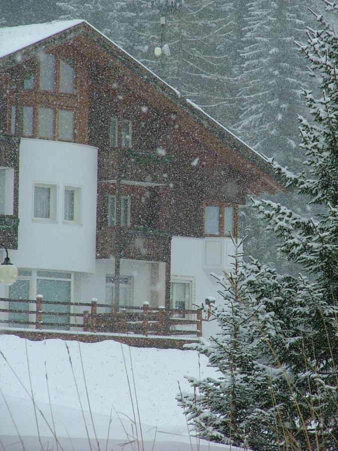 Hotel Ca' Del Bosco Selva di Cadore Εξωτερικό φωτογραφία